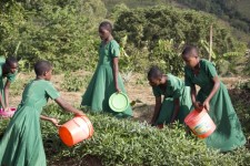  Extra curricular in progress