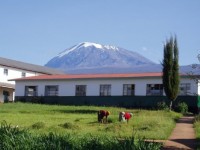  mt kilimanjaro view