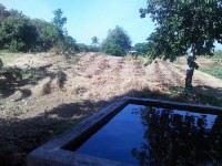  Vegetable Garden
