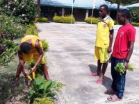  Looking after Flowers