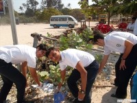  Cleaning Environment