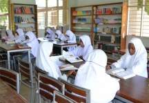  School Library