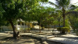  school environment