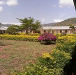  School Environment