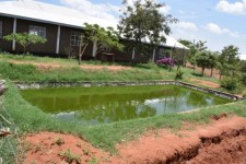  Fish Pond