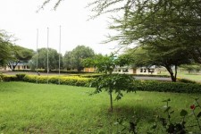  School Environment