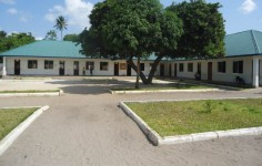  School Environment