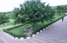  Greenlight Environment