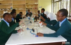  Laboratory Session