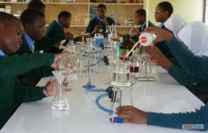  Laboratory Session