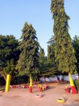  School Environment